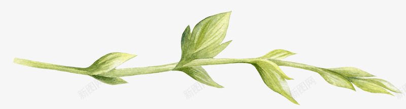 绿色植物手绘绿叶条装饰图案png免抠素材_88icon https://88icon.com 免抠PNG 手绘 枝叶 植物 绿叶条 绿色 装饰图案