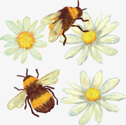 手绘蜜蜂花朵素材