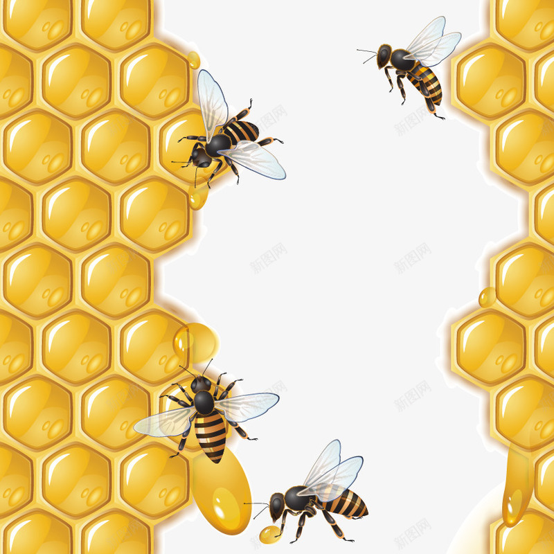 黄色蜂巢和蜜蜂png免抠素材_88icon https://88icon.com 蜂巢和蜜蜂 蜜蜂 黄色蜂巢 黄色蜂巢和蜜蜂