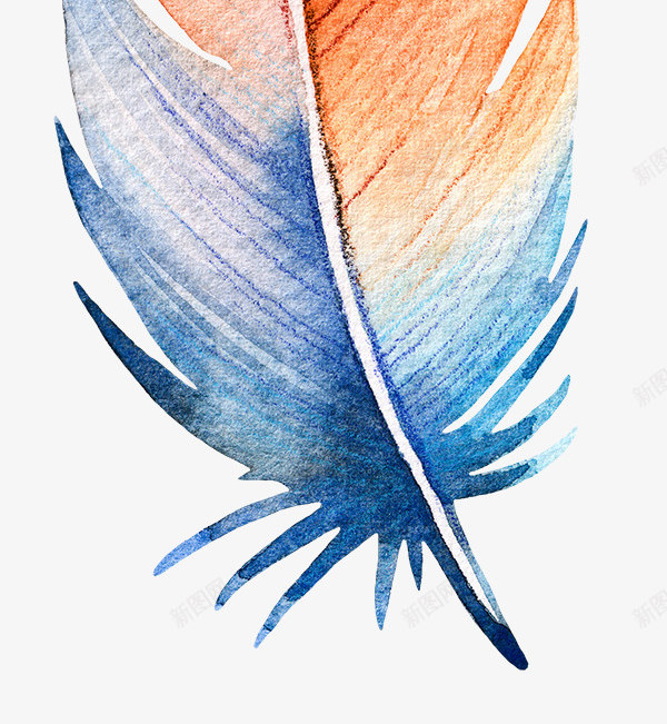彩色羽毛水彩图案png免抠素材_88icon https://88icon.com 彩色羽毛 水彩图 漂浮的 翅膀 颜色 鸟类