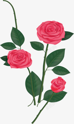 美丽粉红色的玫瑰矢量图素材