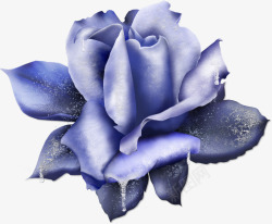 蓝玫瑰装饰蕾丝2素材