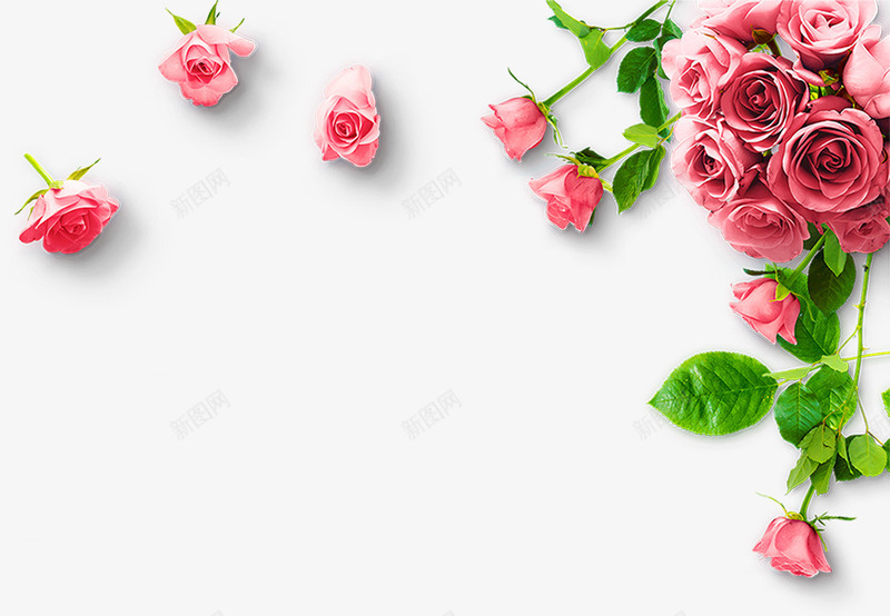 粉色玫瑰花装饰png免抠素材_88icon https://88icon.com 免抠花朵 春季装饰物 玫瑰花装饰 粉色 绿色的叶子