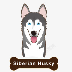 雪橇犬西伯利亚雪橇犬动物矢量图高清图片