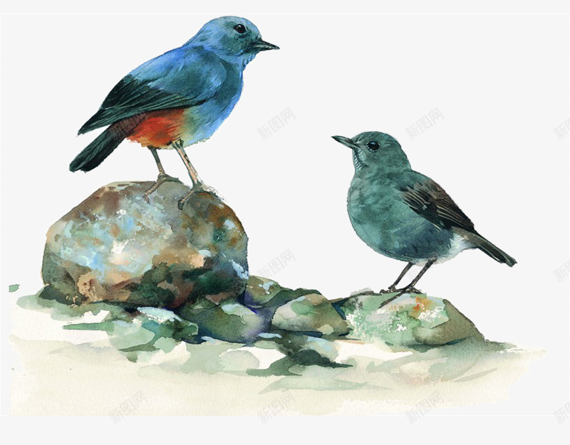 石头上的小鸟png免抠素材_88icon https://88icon.com 卡通 小鸟 手绘 灰色 石头 羽毛 翅膀 蓝色