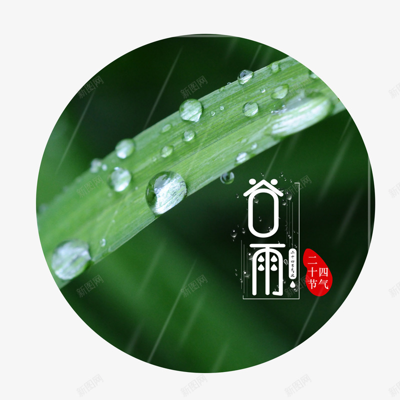 绿色谷雨节日水珠元素psd免抠素材_88icon https://88icon.com 下雨 卡通 圆形 圆形谷雨 水珠设计 绿色 谷雨