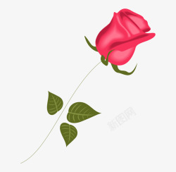 卡通手绘一支玫瑰花素材