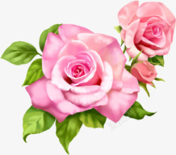 粉色玫瑰花绿色叶子素材