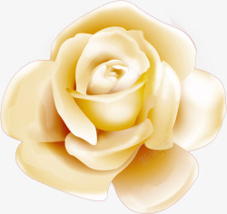 金色珠光玫瑰七夕素材