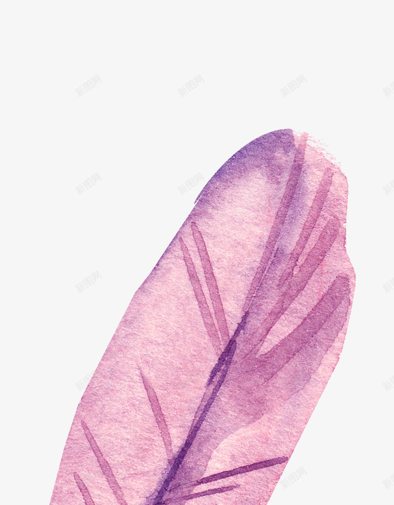 紫色的羽毛水墨图png免抠素材_88icon https://88icon.com 插画 水墨图 简图 美丽的 羽毛 装饰 鸟类