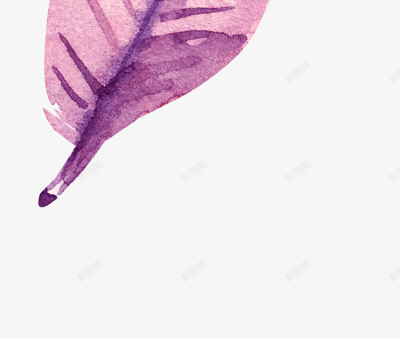 紫色的羽毛水墨图png免抠素材_88icon https://88icon.com 插画 水墨图 简图 美丽的 羽毛 装饰 鸟类