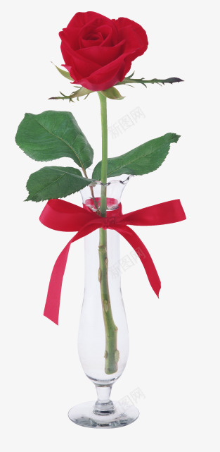 插在花瓶的红色玫瑰png免抠素材_88icon https://88icon.com 玫瑰 红色 花瓶