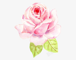 手绘水彩玫瑰花素材