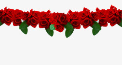 婚庆主题红色玫瑰素材
