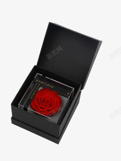 永生花礼盒png免抠素材_88icon https://88icon.com 永生花 玫瑰花 礼物 红玫瑰 红色花朵 黑色礼盒