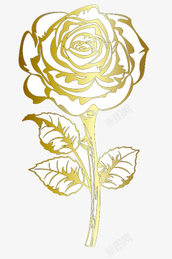 金色玫瑰花素材