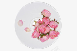 白瓷碟子里的玫瑰花素材
