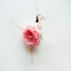 手绘粉色玫瑰跳舞女孩素材