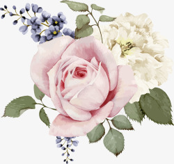 粉玫瑰和白玫瑰水彩手绘花素材