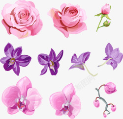 可爱花朵填充图案清新可爱花朵装饰图案矢量图高清图片