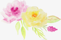 手绘水彩玫瑰花装饰元素素材