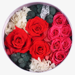 红色玫瑰永生花素材