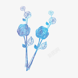 蓝色玫瑰花插画矢量图素材