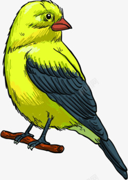 手绘黄蓝色羽毛漫画小鸟素材