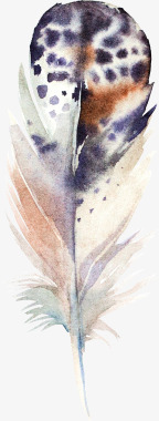水彩树叶矢量羽毛羽毛图案图标图标