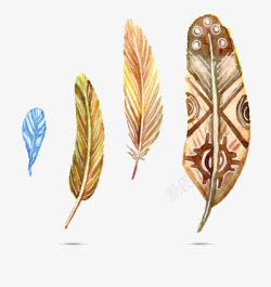 四只彩绘的大小不同的羽毛素材
