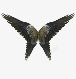 唯美神圣翅膀样式高清图片