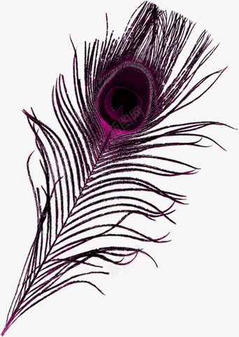 孔雀毛png免抠素材_88icon https://88icon.com 孔雀 毛 羽毛