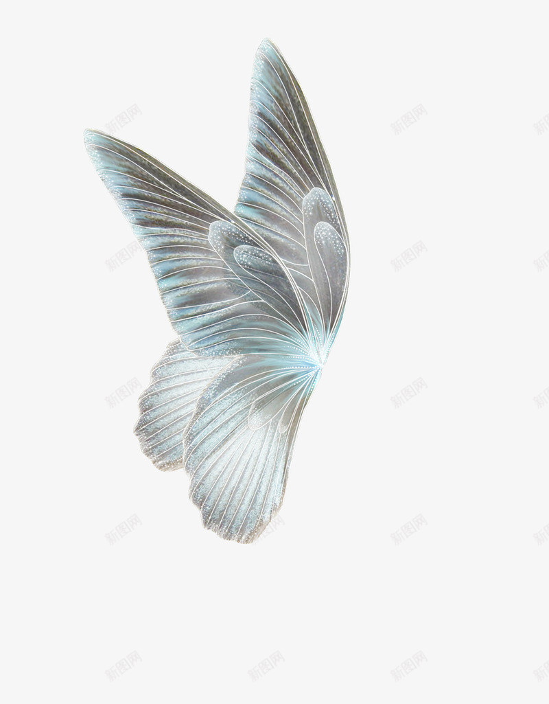 精美卡通梦幻翅膀png免抠素材_88icon https://88icon.com 彩色 手绘翅膀 梦幻 羽毛 羽毛矢量 羽毛素描图片 羽毛飘落 翅膀