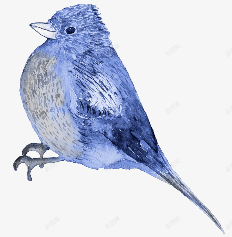 一只小鸟png免抠素材_88icon https://88icon.com 动物 手绘鸟 水彩小鸟 蓝羽毛的鸟儿 蓝色