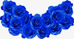蓝玫瑰花素材