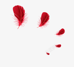 婚庆羽毛素材漂浮红色羽毛高清图片