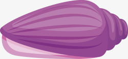 紫色的海螺清新夏日沙滩紫色海螺矢量图高清图片