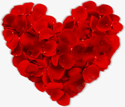 红色玫瑰花瓣情满七夕素材