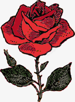 带刺的红玫瑰素材