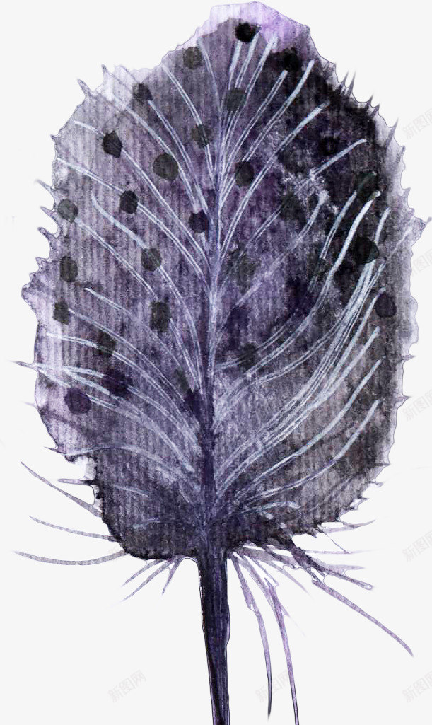 紫黑色羽毛png免抠素材_88icon https://88icon.com 卡通 圆点 手绘 简图 紫色 羽毛 鸟类 黑色