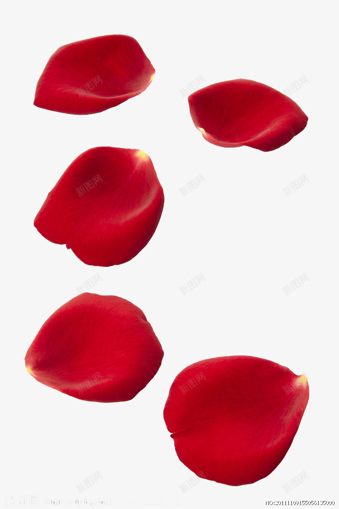 红色玫瑰花瓣创意png免抠素材_88icon https://88icon.com 创意 玫瑰 红色 花瓣 设计