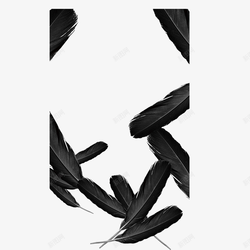 黑色羽毛装饰图案png免抠素材_88icon https://88icon.com 图案 羽毛 装饰 设计 黑色