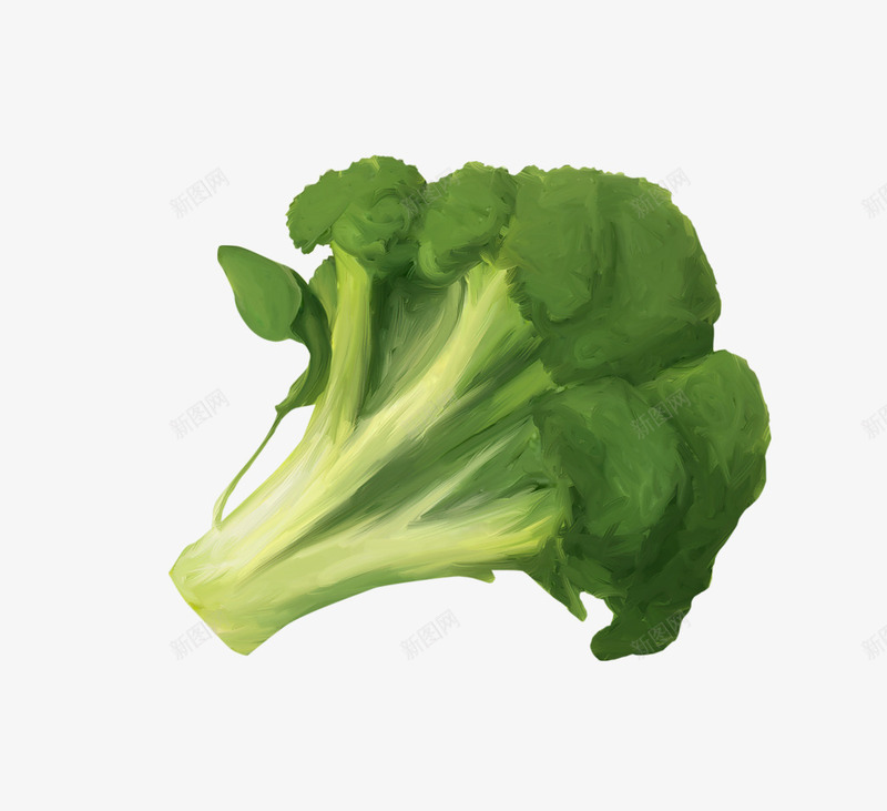 西兰花png免抠素材_88icon https://88icon.com 创意 卡通 手绘 有机菜 绿色 蔬菜 西兰花