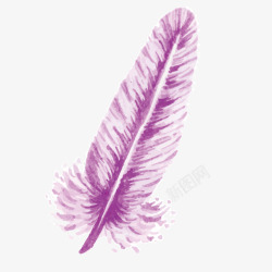 紫色彩绘羽毛素材