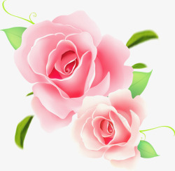 粉色手绘盛开玫瑰花素材