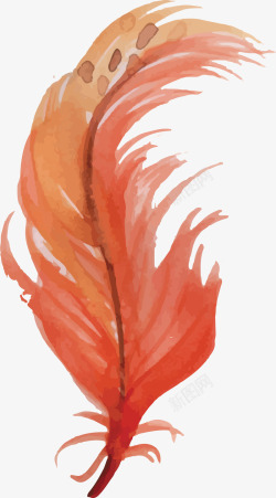 绘画班橘色水彩羽毛高清图片