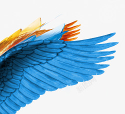蓝色手绘羽毛翅膀素材