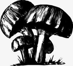 卡通手绘黑色水墨蘑菇素材