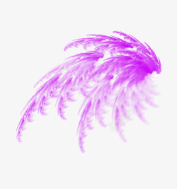 紫色手绘羽毛素材