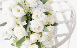格子桌上的白色玫瑰花素材